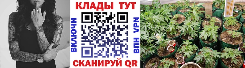 Магазины продажи наркотиков Киржач Cocaine Меф ГАШИШ А ПВП Конопля