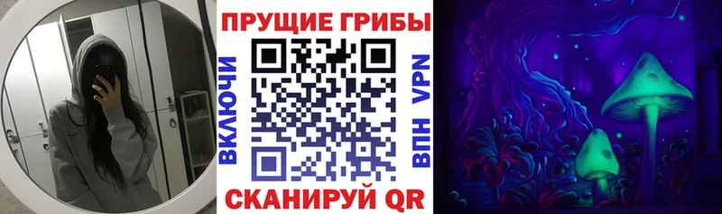 закладка  Киржач  Галлюциногенные грибы мухоморы 