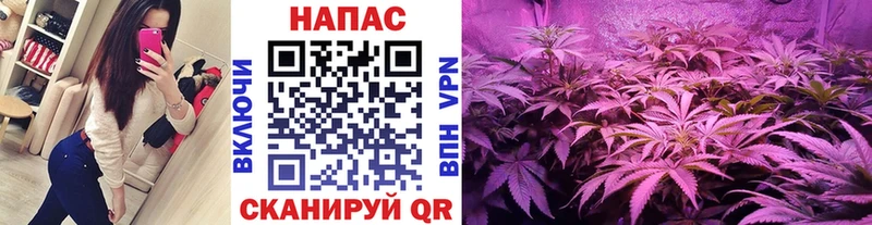 купить   Киржач  Каннабис тримм 